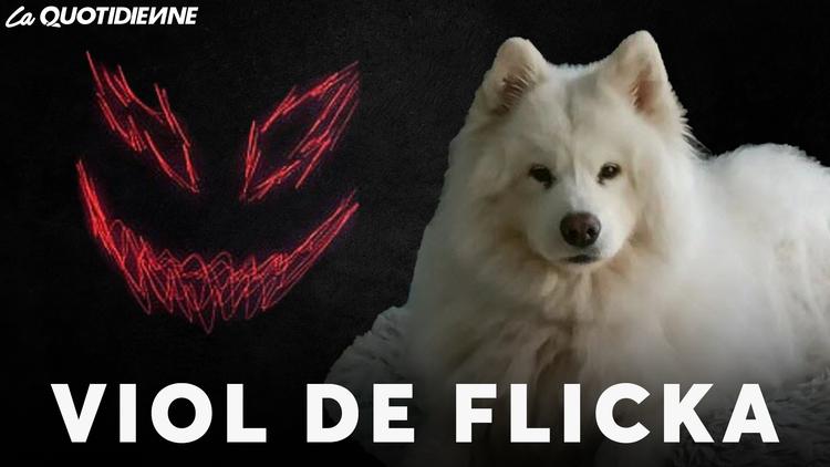 Épisode 693 : Viol de Flicka