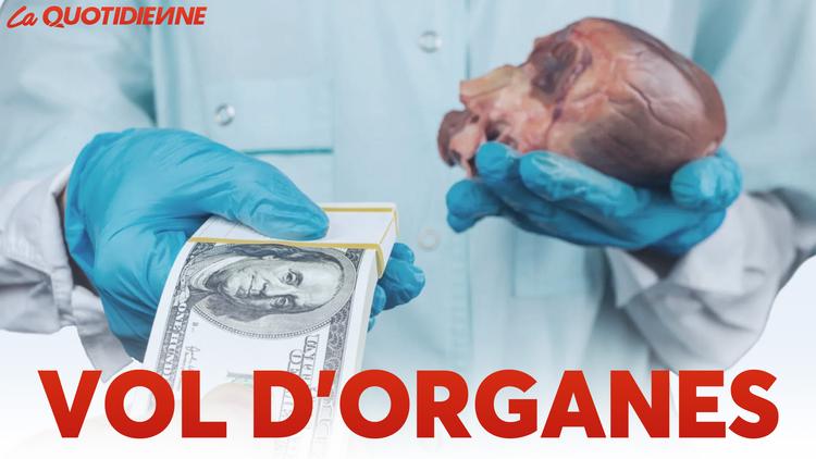 Épisode 548 : Vol d’organes