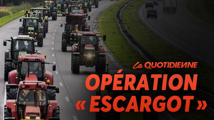 Épisode 431 : Opération "Escargot"