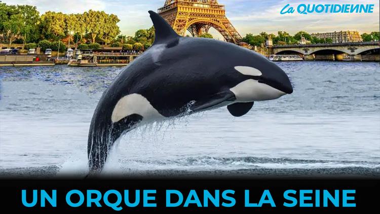 Épisode 478 : Un Orque dans la seine