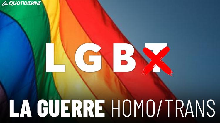 Épisode 546 : La guerre Homo/Trans