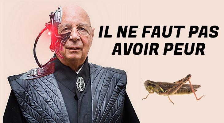 Nouvelle-Zélande : une taxe sur les pets de vache